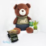 عروسک خرس قهوه ای اورجینال-پیویو