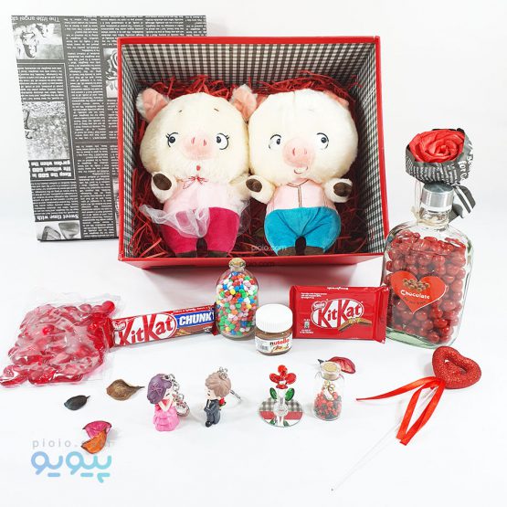 هدیه خاص ولنتاین با عروسک خوک عروس و داماد - پیویو
