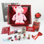 هدیه خاص ولنتاین با عروسک فیل شکمو - پیویو