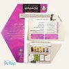 کیت آموزشی پارسیس مدل Electronic Lab - تصویر 2