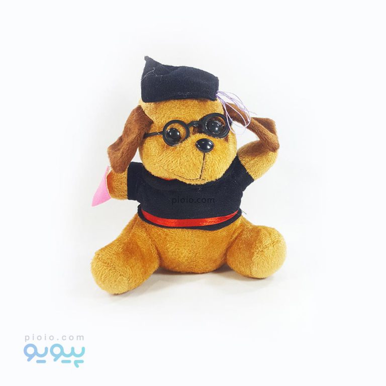 عروسک سگ دانشجو
