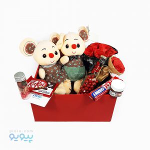 کادو ولنتاین با عروسک زوج موش _ پیویو
