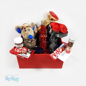 باکس کادو باحال ولنتاین با عروسک موش آقا - پیویو