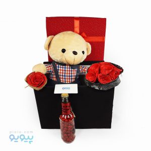 کادو خاص ولنتاین با عروسک خرس پسر - پیویو