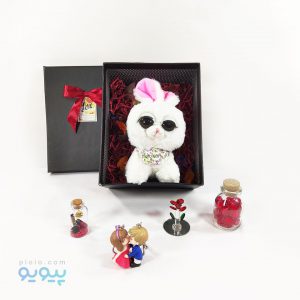 پک هدیه با عروسک خرگوش