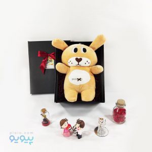 پک هدیه با عروسک خرس مخمل کشی