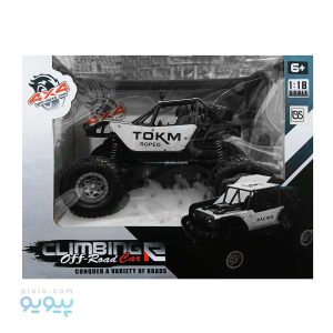 ماشین کنترلی آفرود ایتم 6083 عمده و کارتنی _پیویو