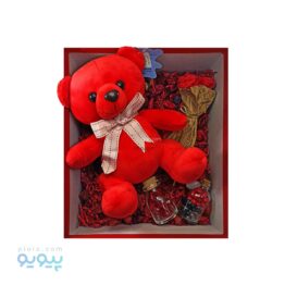 پک کادو ولنتاین عروسک خرس قرمز پاپیونی،پیویو
