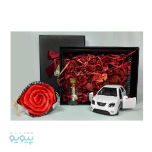 پک ولنتاین اقتصادی با ماشین تیبا،پیویو