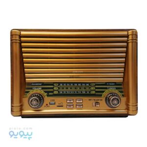رادیو بلوتوثی RAISENG مدل R-1825B | پیویو
