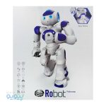 ربات کنترلی Robocop