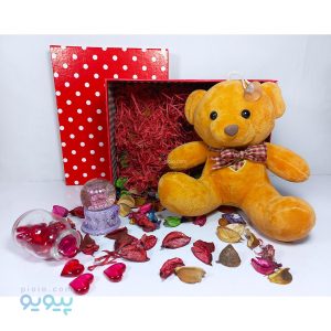 کادو ولنتاین دخترانه با عروسک خرس پاپیونی | پیویو